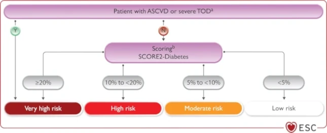 Diagrama de categorías de riesgo cardiovascular en personas con diabetes según SCORE2-Diabetes