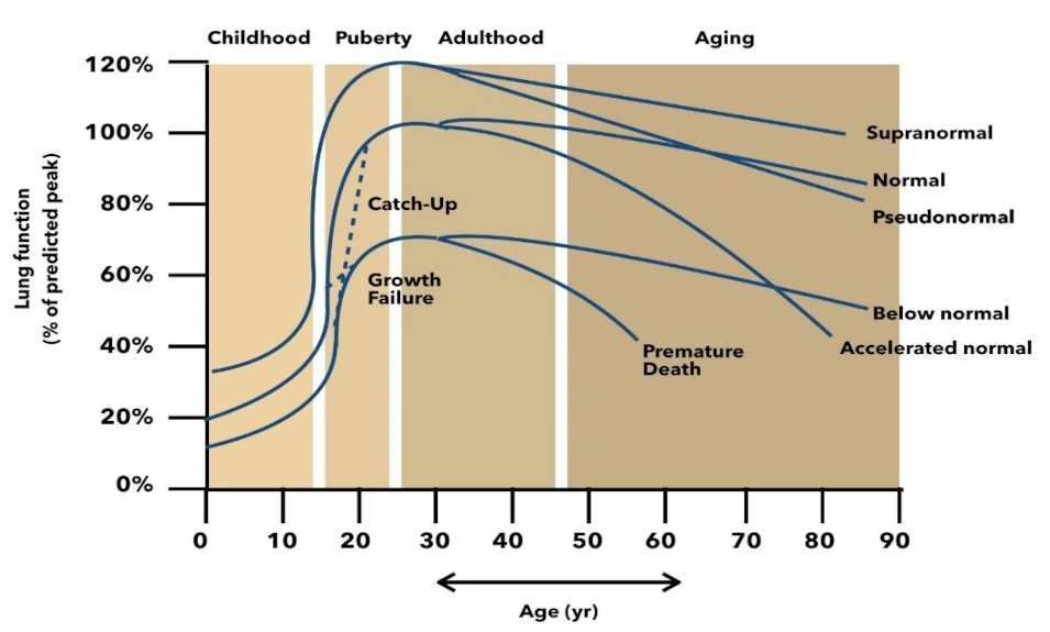 Gráfico actualización trayectorias volumen espiratorio forzado variación durante la vida