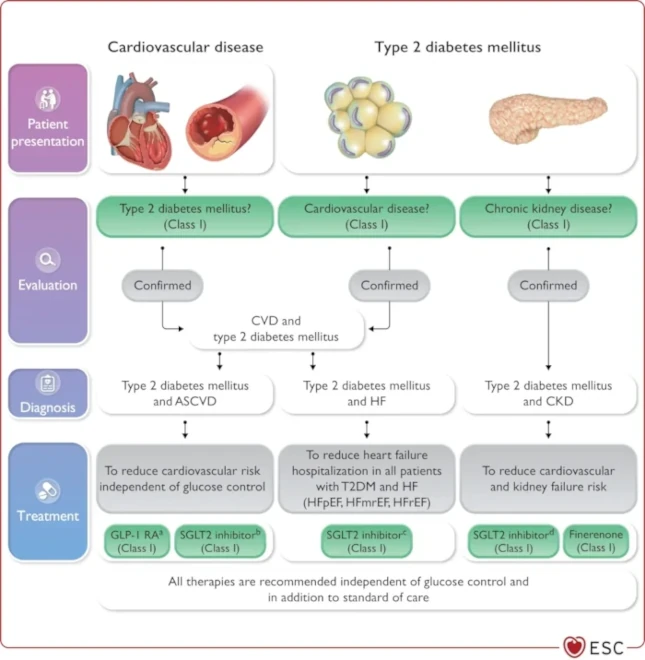 Diagrama con recomendaciones para el manejo de enfermedades cardiovasculares en pacientes con diabetes mellitus tipo 2